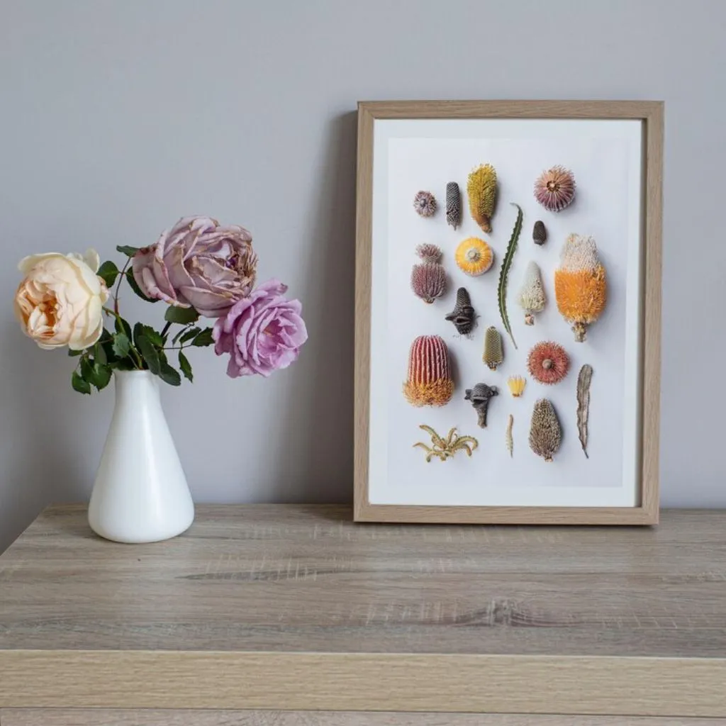 Banksia Friends Print