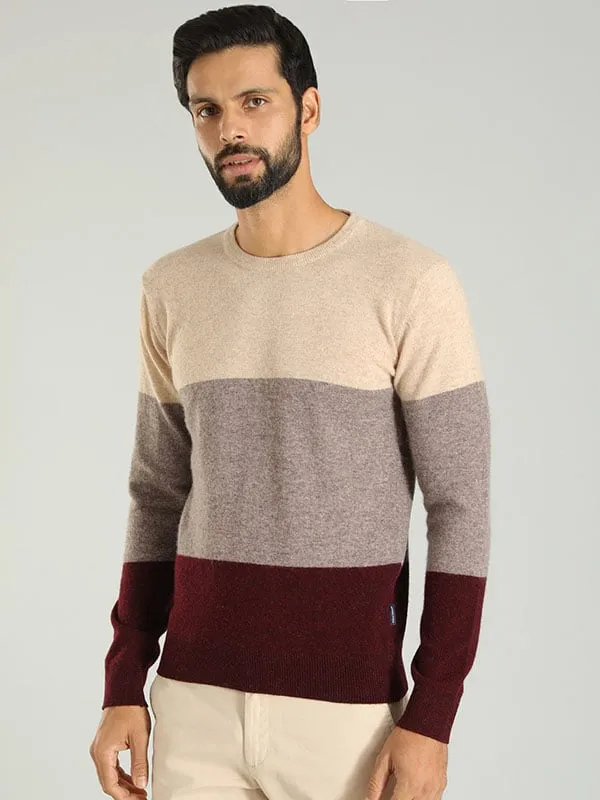 Men Color Block Full Sleeve Crew Neck Sweater